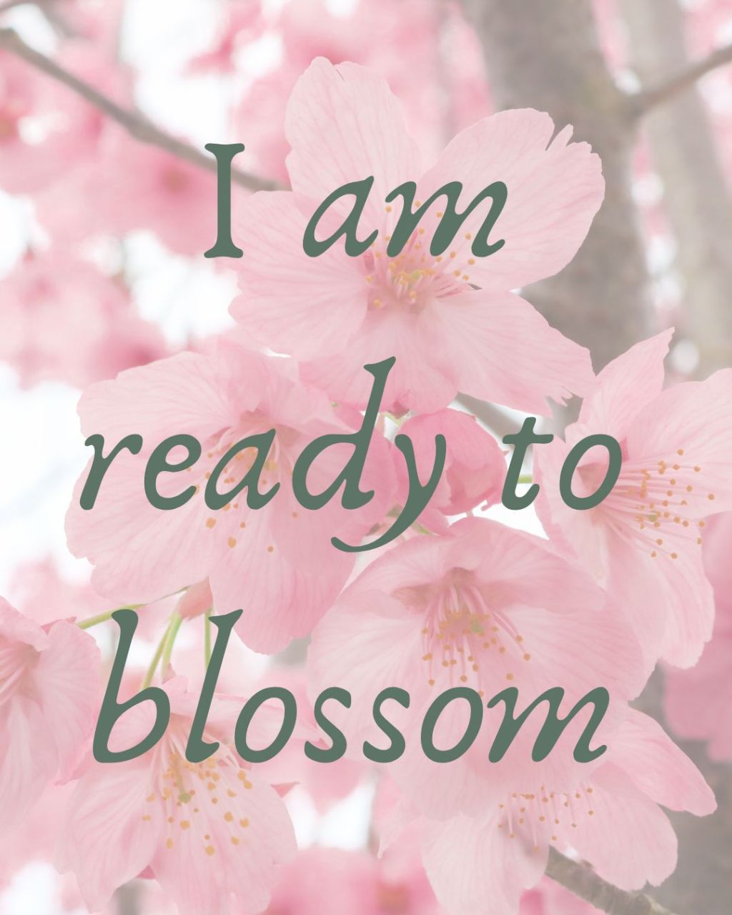 Nurturing Your Intentions: A Mid-Month Mindfulness Moment