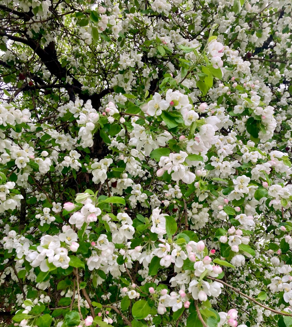 Your May reset: aligning your month with what matters